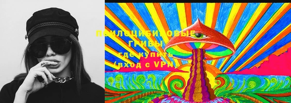 дурь Верхний Тагил