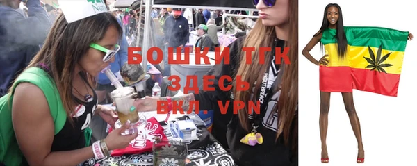 дурь Верхний Тагил